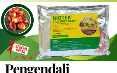 TERBAIK! 0812*2882*4834, AGEN Fungisida Hayati Trichoderma Bengkulu Utara