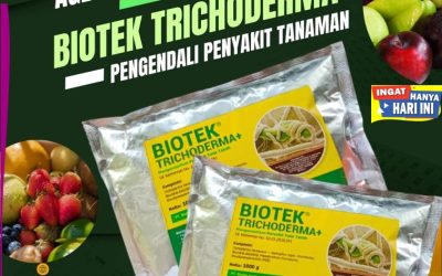 OPEN RESELLER! TELP : 0812*2882*4834, AGEN Fungisida Hayati Trichoderma Tubei