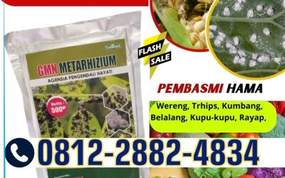 PENGENDALI HAMA! 0812-2882-4834, AGEN Insektisida Hayati Jember