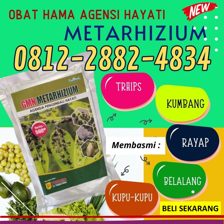 AGEN Insektisida Hayati di Mojokerto