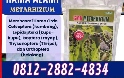 ORGANIK! 0812-2882-4834, AGEN Pembasmi Hama Bondowoso
