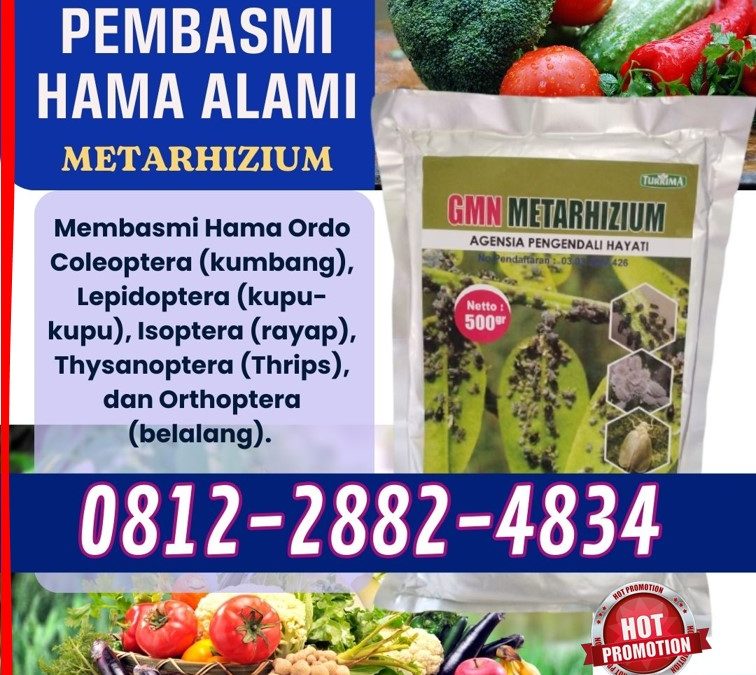 ORGANIK! 0812-2882-4834, AGEN Pembasmi Hama Bondowoso
