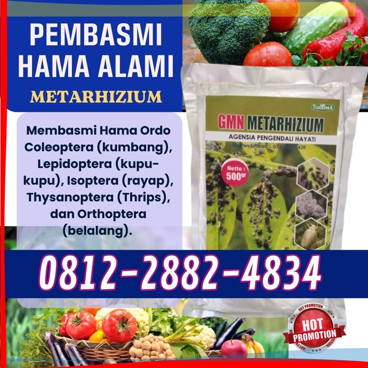 AGEN Pembasmi Hama Bondowoso