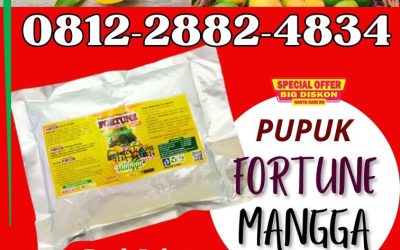 PASTI SUBUR! 0812-2882-4834, AGEN Pupuk Buah Mangga Boyolali