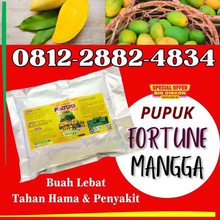 AGEN Pupuk Buah Mangga Boyolali