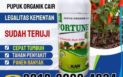PASTI SUBUR! 0812-2882-4834, AGEN Pupuk Cabe Boyolali