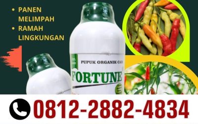FREE KONSULTASI! 0812-2882-4834, AGEN Pupuk Organik Cair Fortune Kebumen