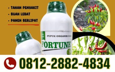 FREE KONSULTASI! 0812-2882-4834, AGEN Pupuk Organik Cair Fortune Kebumen