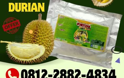 ORGANIK! 0812-2882-4834, AGEN Pupuk Organik Durian Poso