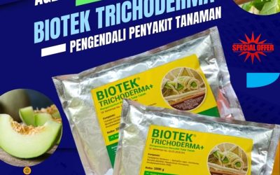 ORGANIK! 0812*2882*4834, DISTRIBUTOR Fungisida Trichoderma Curup