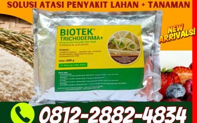 FREE KONSULTASI 0812*2882*4834, DISTRIBUTOR Fungisida Tricoderma Lebong
