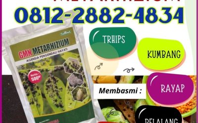 TERBAIK! 0812-2882-4834, DISTRIBUTOR Insektisida Gresik