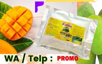 TERBAIK! 0812-2882-4834, DISTRIBUTOR Pupuk Mangga Blora