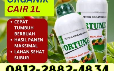 TERBAIK! 0812-2882-4834, DISTRIBUTOR Pupuk Organik Cabe Blora