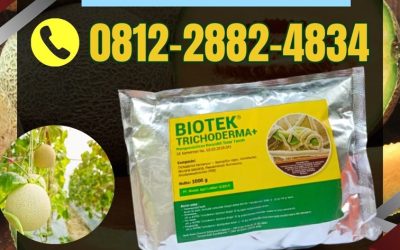 TERPERCAYA! 0812*2882*4834, GROSIR Biotek Trichoderma Mukomuko