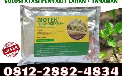 SEDANG DISKON! 0812*2882*4834, GROSIR Fungisida Hayati Trichoderma Bengkulu Selatan