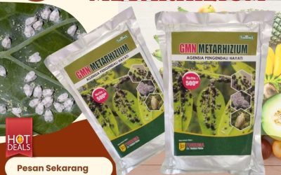 ALAMI! 0812-2882-4834, HARGA Obat Hama Bojonegoro