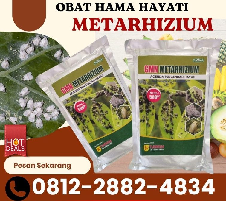 ALAMI! 0812-2882-4834, HARGA Obat Hama Bojonegoro