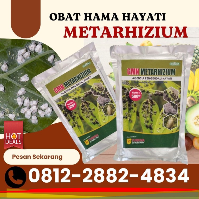 HARGA Obat Hama Bojonegoro