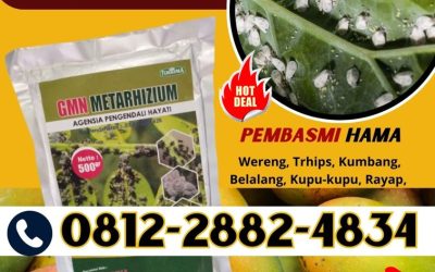 HARGA KHUSUS! 0812-2882-4834, GROSIR Obat Pembasmi Hama Blitar