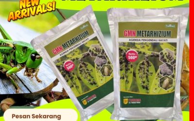 ASLI! CALL! 0812-2882-4834, GROSIR Pembasmi Hama Di Magetan, Insektisida Malang, Insektisida Hayati Mojokerto