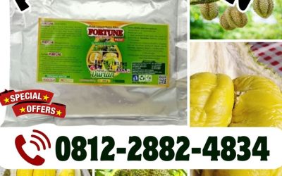 HARGA KHUSUS! 0812-2882-4834, GROSIR Pupuk Booster Durian Luwuk