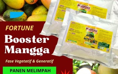 HARGA KHUSUS! 0812-2882-4834, GROSIR Pupuk Booster Mangga Banyumas