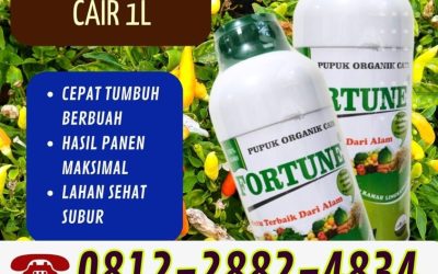 100% ALAMI! 0812-2882-4834, GROSIR Pupuk Organik Cabe Karanganyar