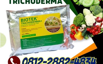 ASLI! HUB : 0812*2882*4834, HARGA Fungisida Trichoderma Kota Mukomuko