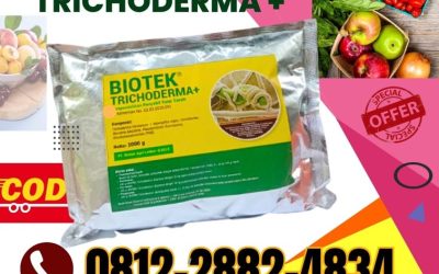 HARGA KHUSUS! 0812*2882*4834, HARGA Fungisida Tricoderma Kota Manna