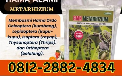 OPEN RESELLER! 0812-2882-4834, HARGA Insektisida Metarhizium di Malang