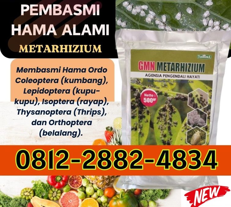 OPEN RESELLER! 0812-2882-4834, HARGA Insektisida Metarhizium di Malang