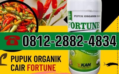 OPEN RESELLER! 0812-2882-4834, HARGA Pupuk Cabe Grobogan