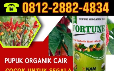 OPEN RESELLER! 0812-2882-4834, HARGA Pupuk Cabe Grobogan