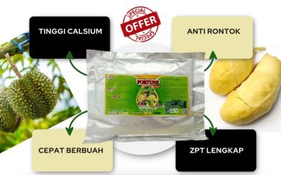 BUAH DAGING TEBAL! 0812-2882-4834, HARGA Pupuk Khusus Durian Poso