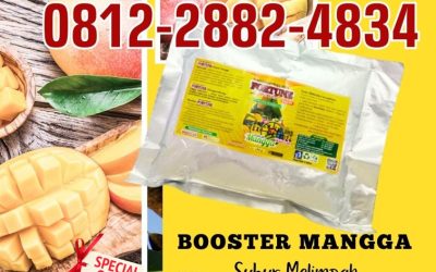 ALAMI! 0812-2882-4834, HARGA Pupuk Organik Mangga Purwokerto