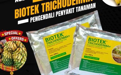 SEDANG PROMO! WA 0812*2882*4834, JUAL Fungisida Trichoderma Bengkulu