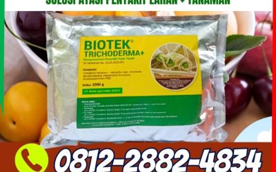 KUALITAS TERUJI! HUB 0812*2882*4834, JUAL Fungisida Tricoderma Pasar Tais
