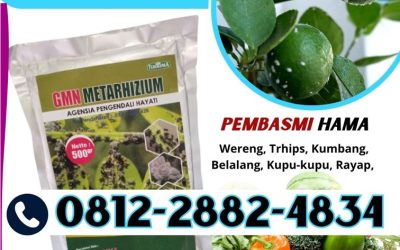 TERPERCAYA! HUB! 0812-2882-4834, JUAL Obat Hama di Madiun