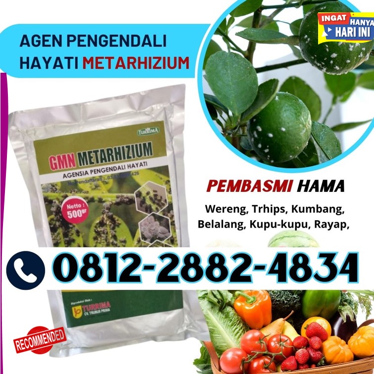 JUAL Obat Hama di Madiun
