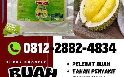 SEDANG DISKON! 0812-2882-4834, JUAL Pupuk Buah Durian Banggai