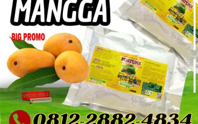 SEDANG DISKON! 0812-2882-4834, JUAL Pupuk Buah Mangga Banjarnegara
