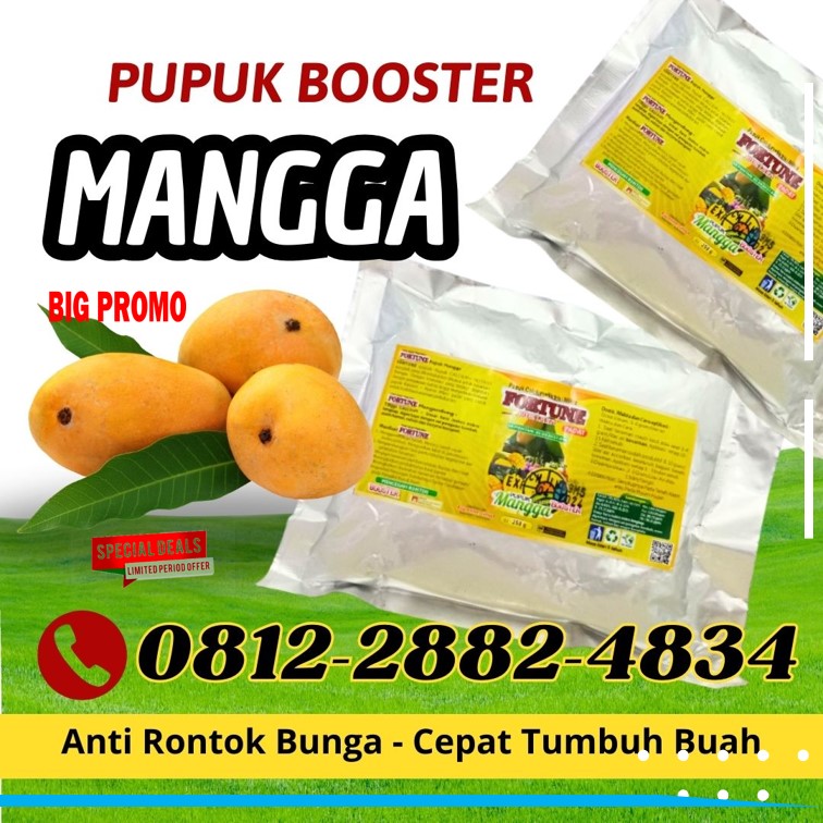 JUAL Pupuk Buah Mangga Banjarnegara