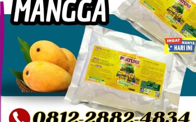 TERPERCAYA! 0812-2882-4834, JUAL Pupuk Buah Mangga Jepara