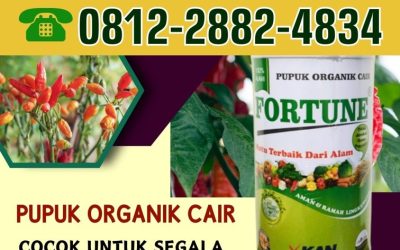 SEDANG DISKON! 0812-2882-4834, JUAL Pupuk Organik Banjarnegara