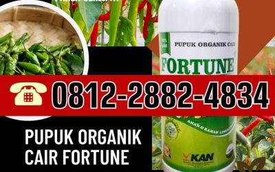 TERPERCAYA! 0812-2882-4834, JUAL Pupuk Organik Terbaik Jepara