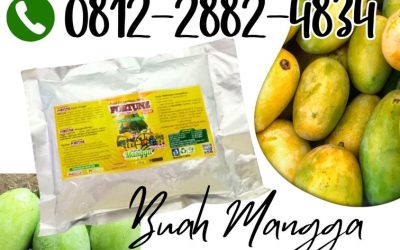 TERLARIS! 0812-2882-4834, PRODUSEN Booster Mangga Demak