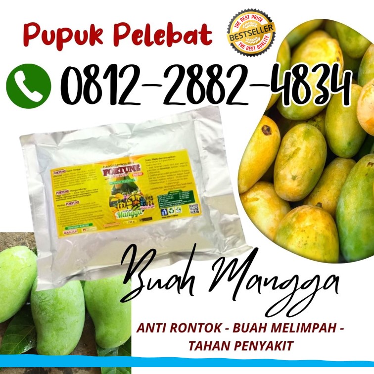 PRODUSEN Booster Mangga Demak