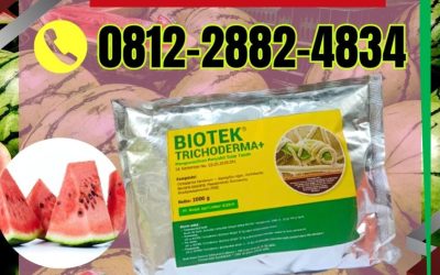 BISA PARTAI! Telp 0812*2882*4834, PRODUSEN Fungisida Trichoderma Bintuhan