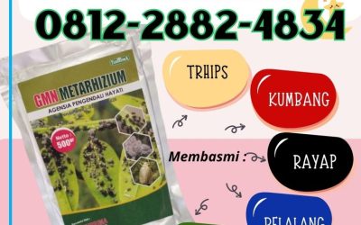 TERLARIS! 0812-2882-4834, PRODUSEN Metarhizium Anisopliae Lamongan